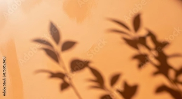 Obraz Soft, diffused shadows of delicate plant leaves cast on a warm, textured orange wall.