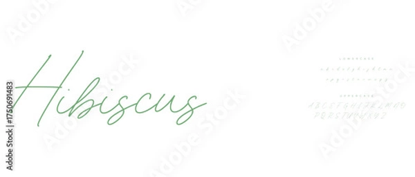 Fototapeta calligraphy alphabet capital lettering a to z font family