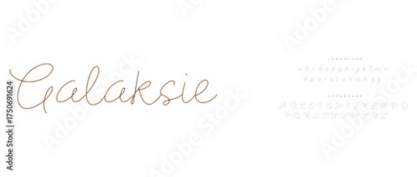 Fototapeta modern stylish typography letter logo design