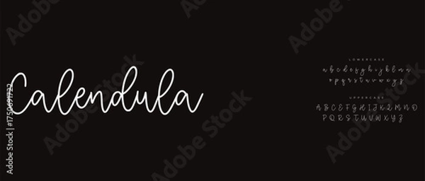 Fototapeta calligraphy alphabet small lettering a to z font family