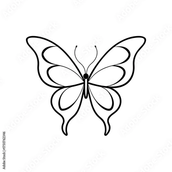 Fototapeta Simple butterfly outline art on transparent background