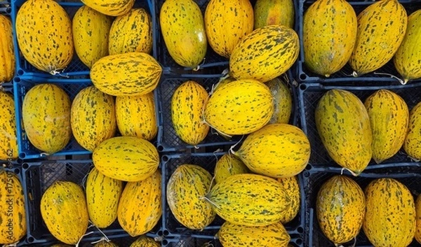 Obraz Various fruits and vegetables. Photos of melons.