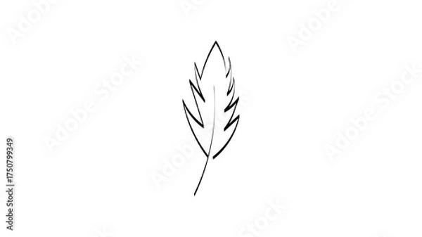Obraz feather isolated on a white background