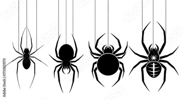 Obraz Set of black spider silhouettes hanging from web threads. A vector collection of various arachnid icons isolated on a white background for design