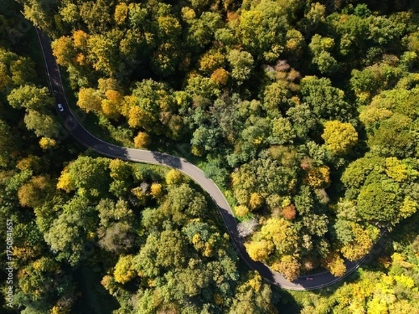 Fototapeta Winding Forest Road in Autumn from Above