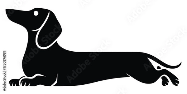 Fototapeta Dachshund Silhouette: A minimalist silhouette of a dachshund in repose, its long body and distinctive features elegantly captured against a clean backdrop. 