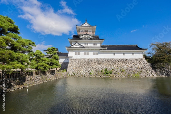 Fototapeta 富山城と城址公園の風景　青空に映える白壁の天守閣
