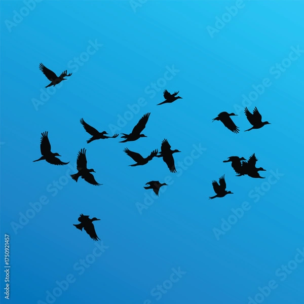 Fototapeta Bird silhouettes vector collection set about different flying and perched bird positions.