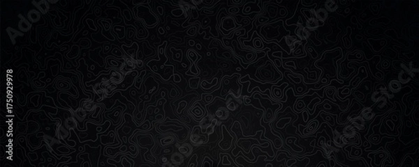 Obraz Dark elegant topographic map background. Topographic wallpaper