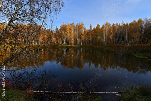 Obraz The forest around the forest lake is very beautiful in golden autumn.
