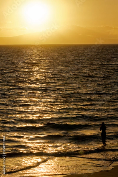 Fototapeta 沈む夕日を眺めるシルエット
