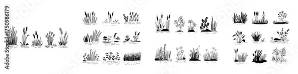 Obraz Hand drawn aquatic and marsh plants growing in water