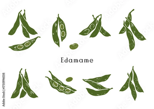 Fototapeta Edamame Vector Illustration with Woodblock Print/Seal Design Aesthetic／枝豆