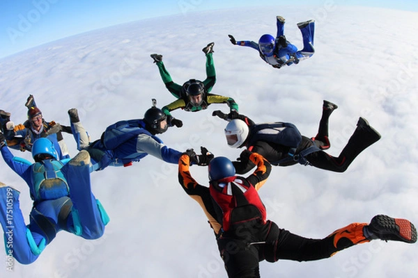 Obraz Skydivers