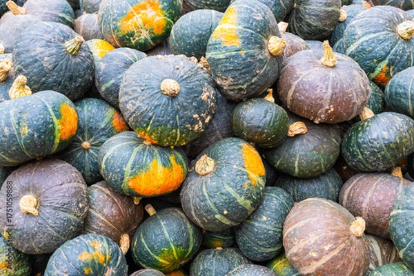 Fototapeta Close up of melons as background