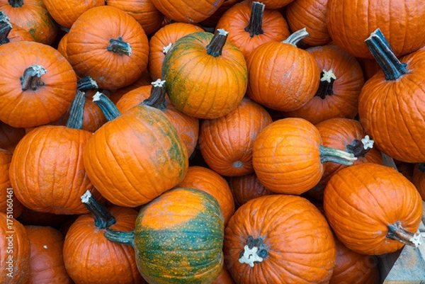Fototapeta Close up of melons as background
