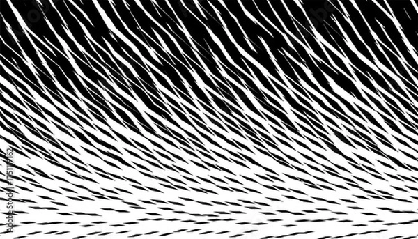Fototapeta Black and white abstract and grunge pattern for safari background. Vector Format Illustration 