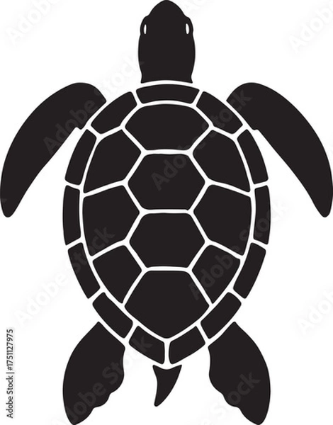 Obraz Black sea turtle silhouette isolated on white background