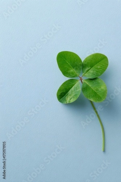 Fototapeta a four leaf clover on a light blue background, symbolizing good luck and st patrick day.