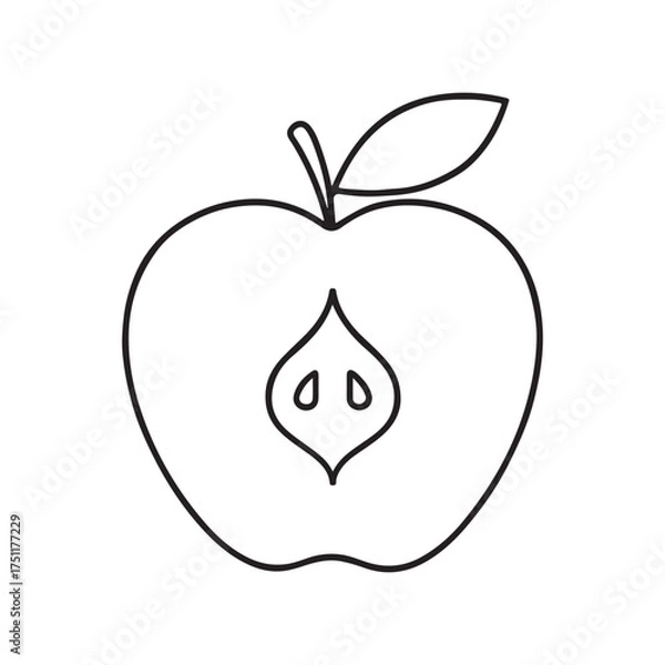 Fototapeta Half apple with seeds and leaf, a simple outline vector icon for healthy food concepts
