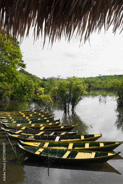 Obraz barcos em lago com natureza brasil amazonia