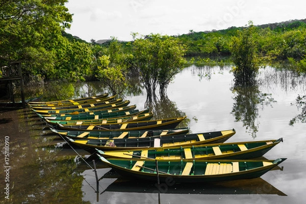 Obraz barcos em lago com natureza brasil amazonia