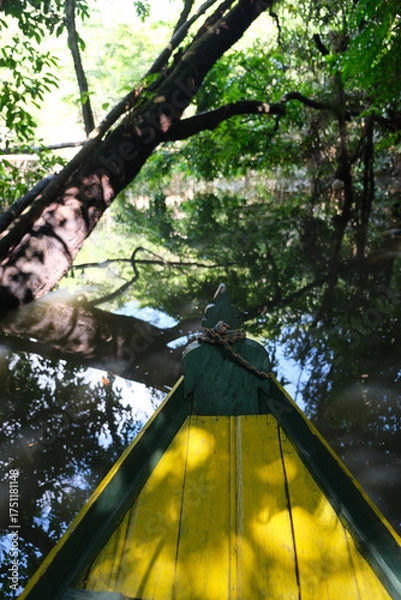 Obraz árvores verdes mata floresta amazonia natureza brasil lago igarapé lagoa selva folha