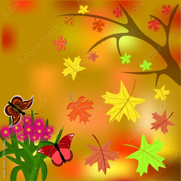 Obraz autumn background with maple leaves