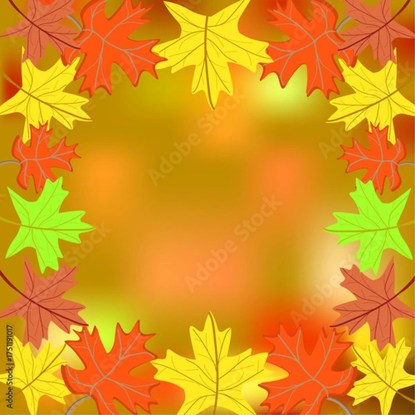 Obraz autumn maple leaves