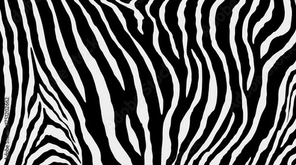 Obraz Abstract black and white zebra stripe pattern creating a bold visual effect.