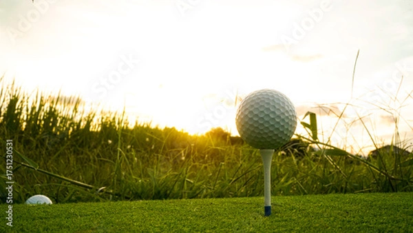 Fototapeta Golf ball on green grass in the evening golf course with sunshine background.