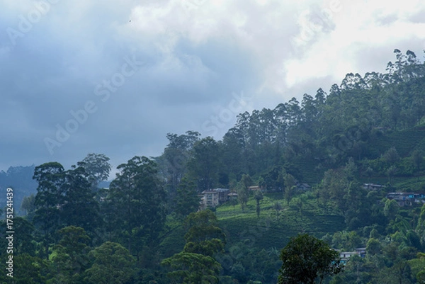 Obraz View of tea estate from The Watefall Villa in Sri Lanka.