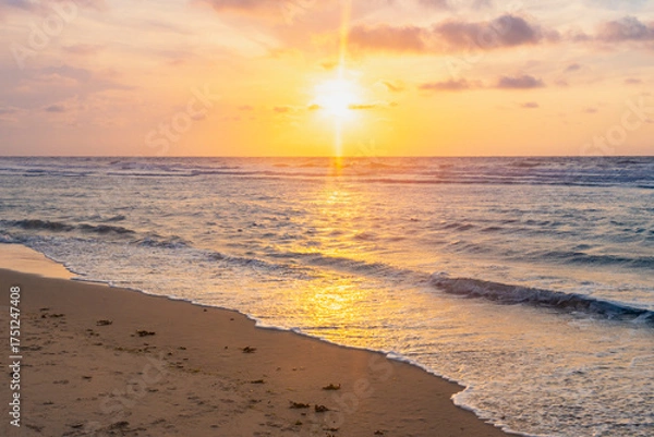 Fototapeta Sunset over stormy North Sea beach with reed grass bushes, orange-red sky over the dark blue ocean, panorama with sandy beach and blowing grass in the wind, storm at sunset over wavy water