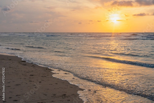 Fototapeta Sunset over stormy North Sea beach with reed grass bushes, orange-red sky over the dark blue ocean, panorama with sandy beach and blowing grass in the wind, storm at sunset over wavy water