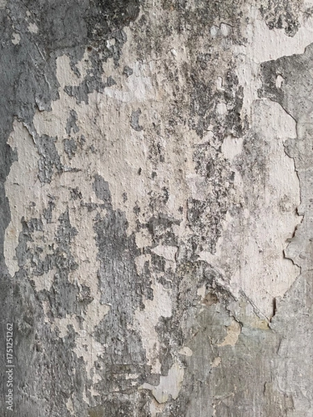 Obraz Old wall texture with peeling paint and cracked plaster. Weathered surface in shades of gray and white, perfect for grunge backgrounds, vintage design, or architectural decay concepts.
