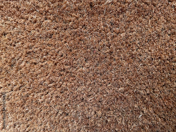 Obraz Closeup of brown coir doormat texture made from natural coconut fibers. Rough organic surface background, eco-friendly material for home decor, rustic and natural pattern.