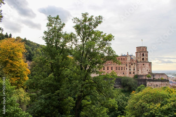 Fototapeta farshot showing the heidelberg castle to the right surrounded by autumn trees on a misty day 