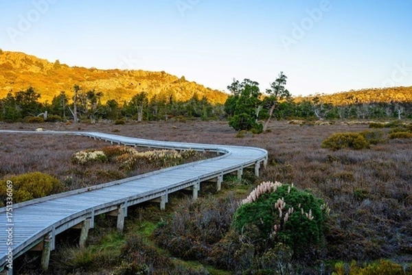Obraz path in the mountains
