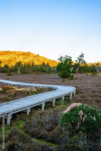Obraz path in the mountains