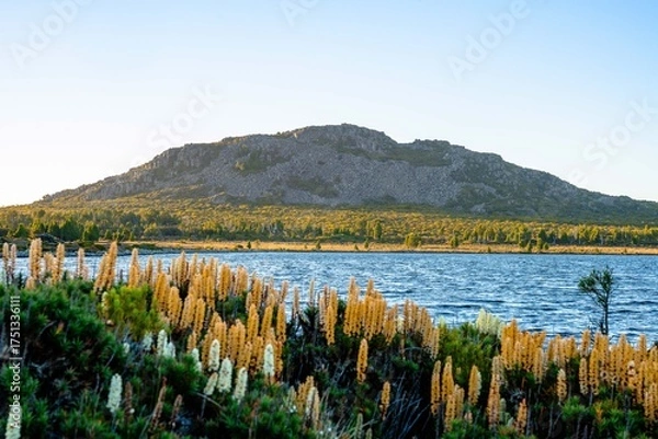 Fototapeta lake in the mountains