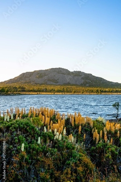 Fototapeta view of the lake from the mountain