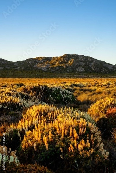 Fototapeta sunset over the mountains