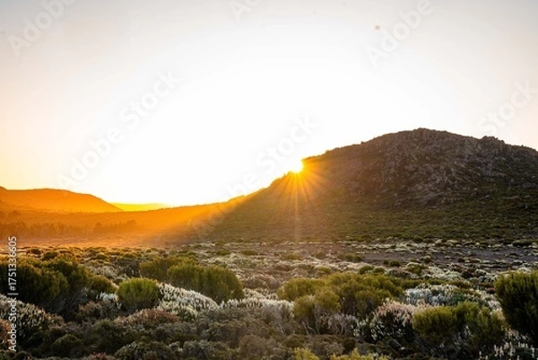 Fototapeta sunset in the mountains