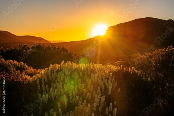 Fototapeta sunset in the mountains
