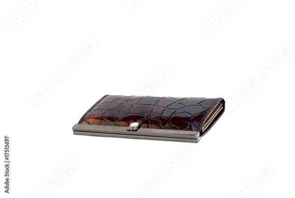 Obraz Purse isolated on wihte background