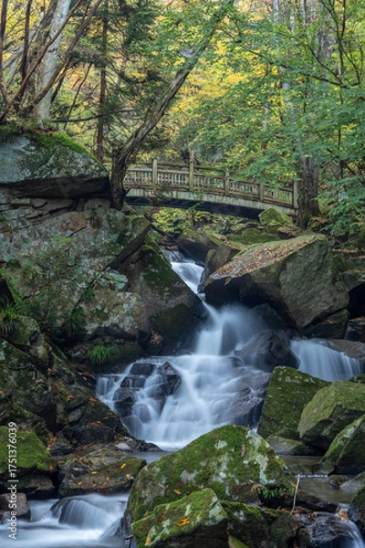 Obraz 秋の滝川渓谷にかかる木橋と清流