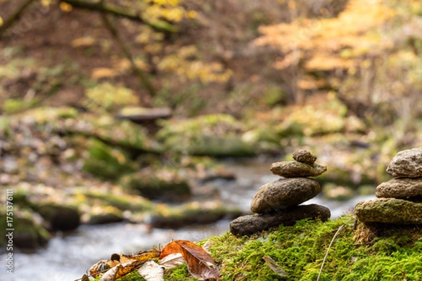 Obraz 秋の渓流沿いに積まれた石と苔