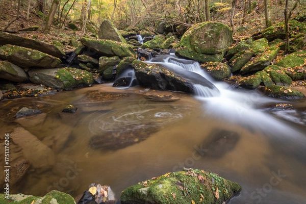 Obraz 苔むした巨岩を縫う秋の渓流