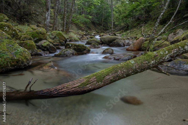 Obraz 初秋の長野県川上村の梓川渓流