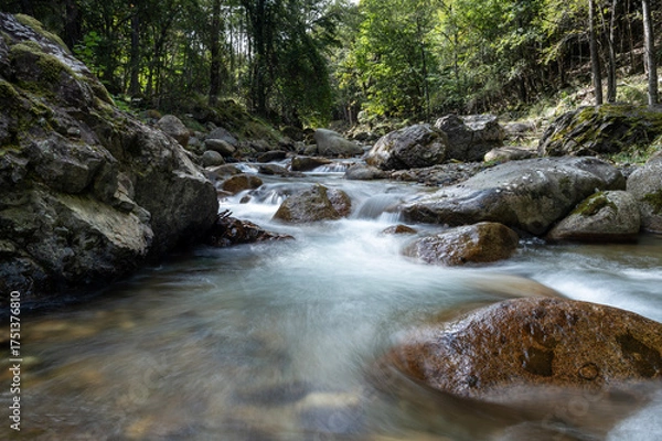 Obraz 初秋の長野県川上村の梓川渓流
